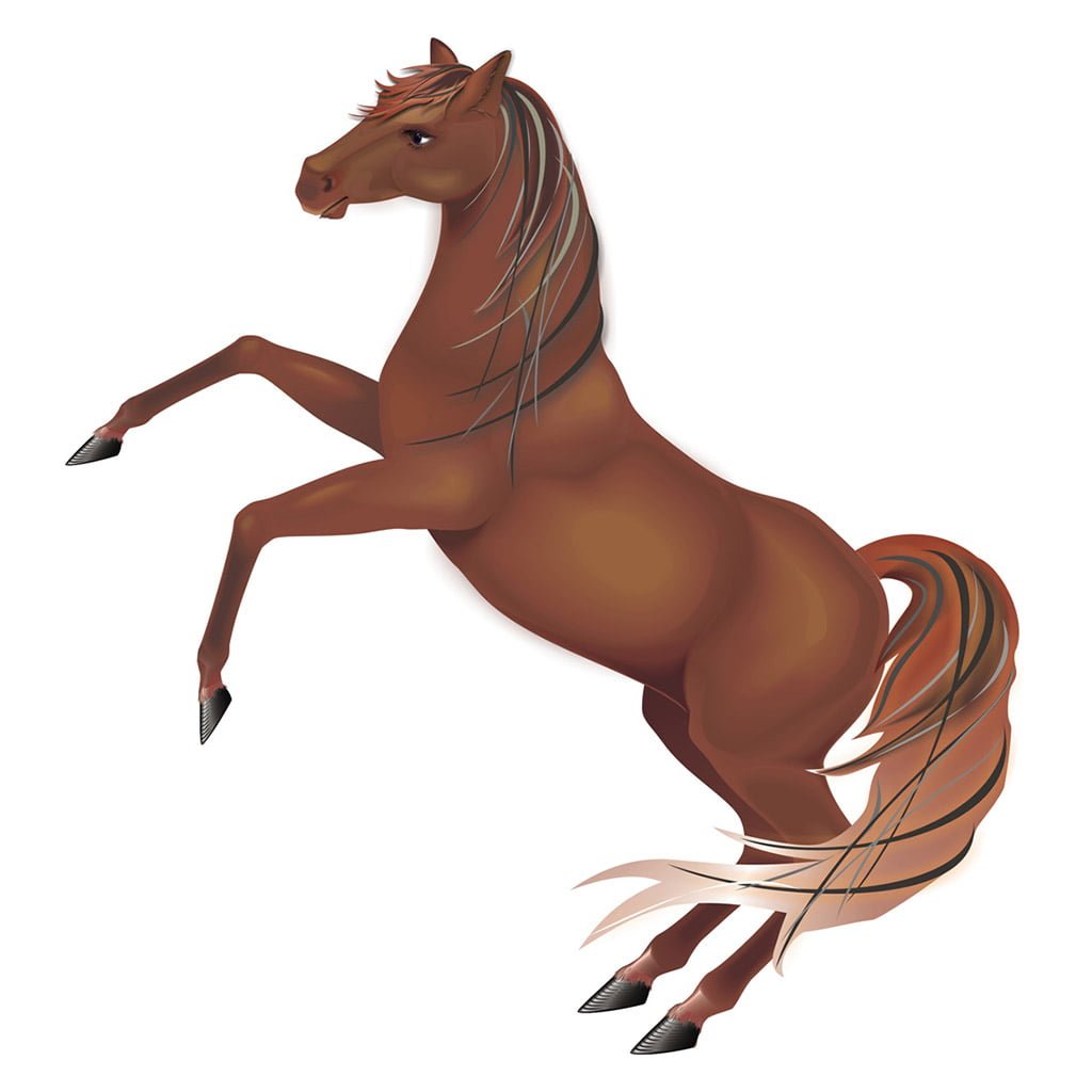 Vector. Adobe Illustrator
